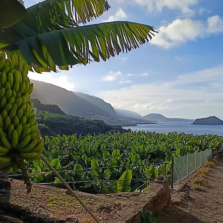 Tres Palmeras Icod De Los Vinos